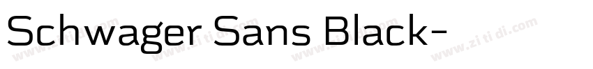 Schwager Sans Black字体转换
